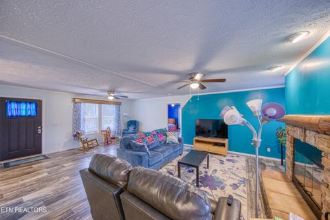 Tiny photo for 3143 Webbing Way, Cosby, TN 37722 (MLS # 1319683)