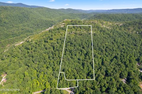 Bibee Lane Caryville TN 37714