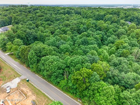 Photo of 2022 Cumberland View Drive, Crossville, TN 38571 (MLS # 1342960)