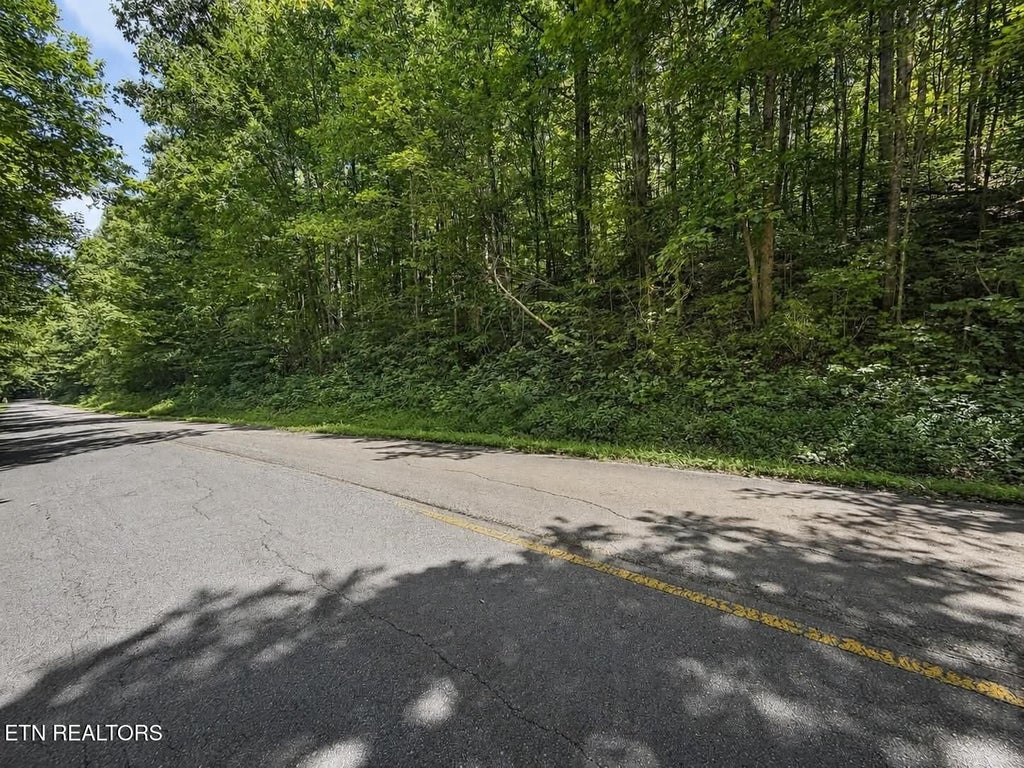 Photo of Johnson Valley Rd, Philadelphia, TN 37846 (MLS # 1352021)