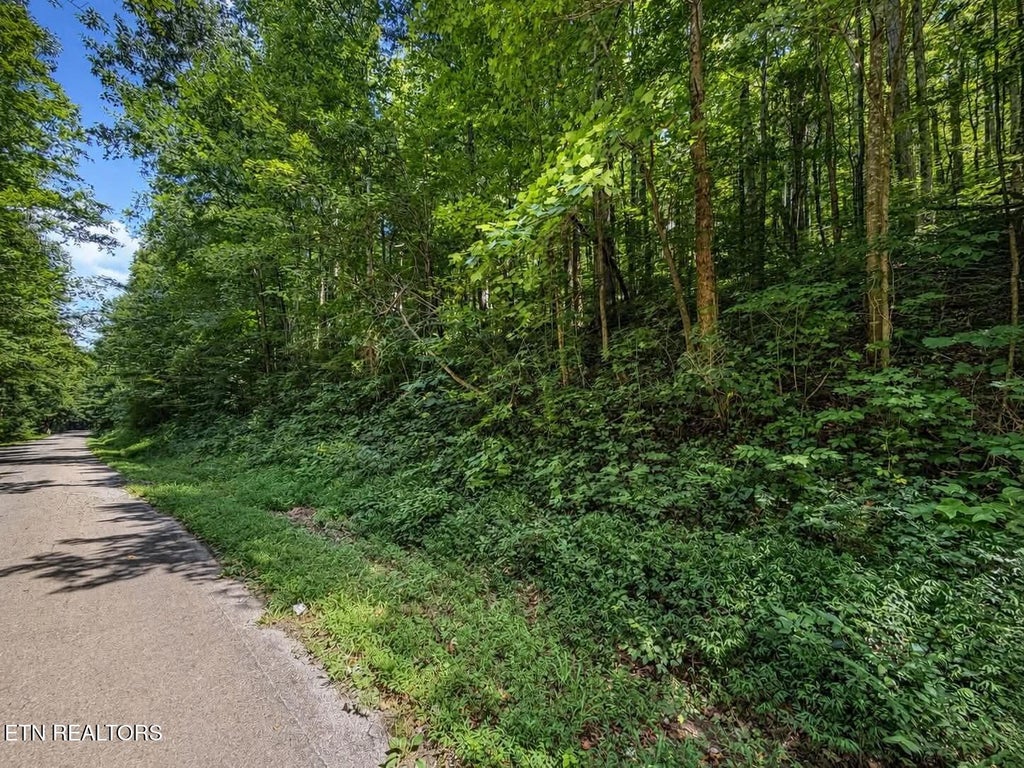 Photo of Johnson Valley Rd, Philadelphia, TN 37846 (MLS # 1352021)