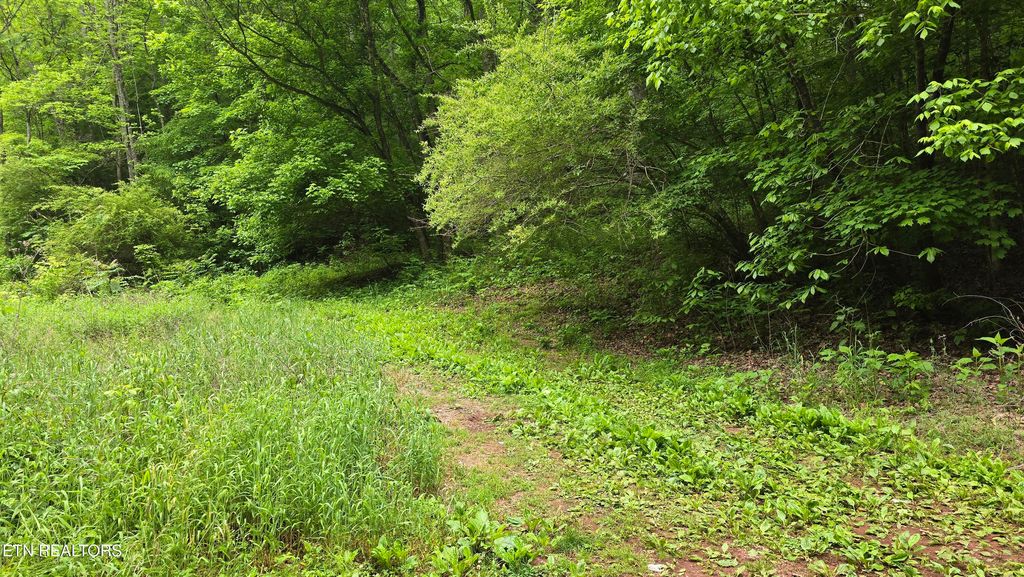 Photo of Red Ankle Rd, Sweetwater, TN 37874 (MLS # 1291114)