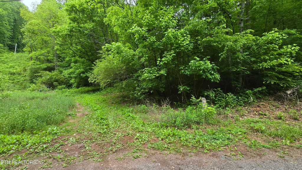 Photo of Red Ankle Rd, Sweetwater, TN 37874 (MLS # 1291114)