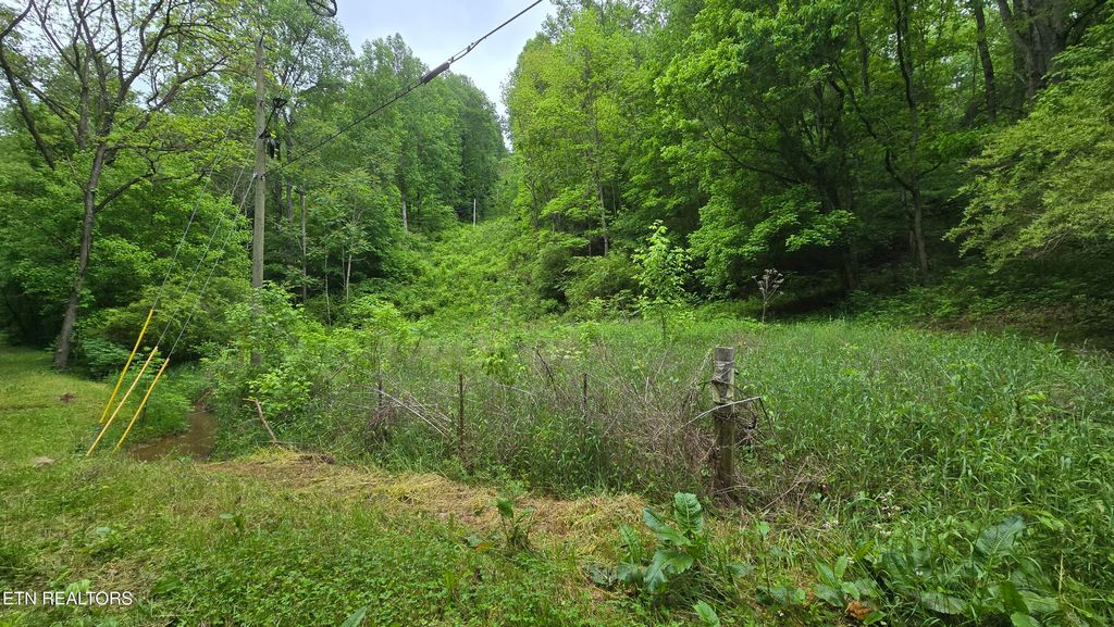 Photo of Red Ankle Rd, Sweetwater, TN 37874 (MLS # 1291114)