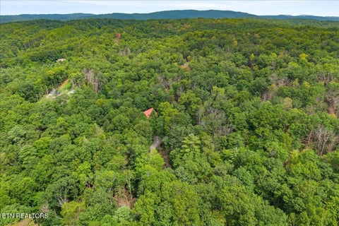 Tiny photo for 205 Holder Cemetery Rd, Tellico Plains, TN 37385 (MLS # 1350035)