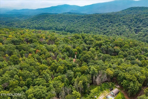 Tiny photo for 205 Holder Cemetery Rd, Tellico Plains, TN 37385 (MLS # 1350035)
