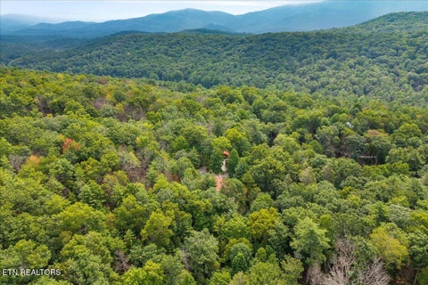 Tiny photo for 205 Holder Cemetery Rd, Tellico Plains, TN 37385 (MLS # 1350035)