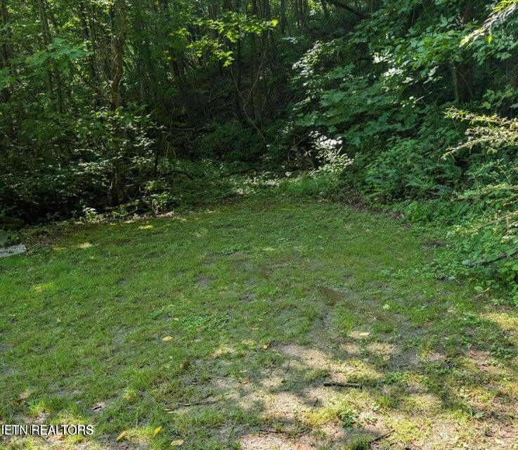 Photo of 0 Bowling Rd, Middlesboro, KY 40965 (MLS # 1359116)