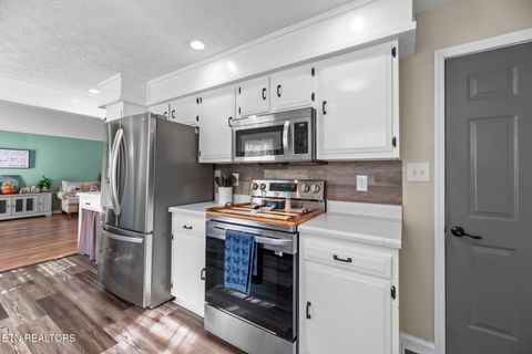 Tiny photo for 1129 Melton Hill Circle, Clinton, TN 37716 (MLS # 1317098)