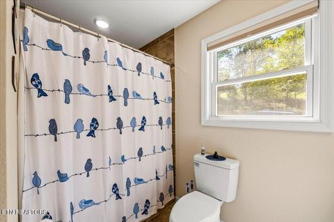 Tiny photo for 134 Doe Crossing, LaFollette, TN 37766 (MLS # 1318509)