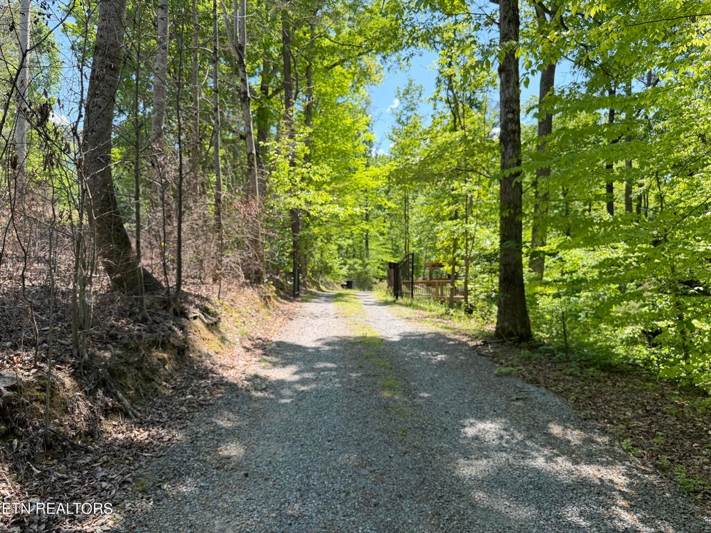 Photo of 4716 Fred Jennings Rd, Walland, TN 37886 (MLS # 1338850)