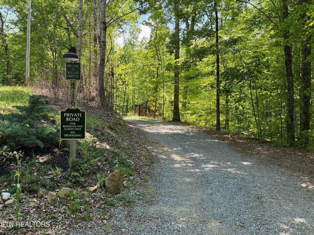 Photo of 4716 Fred Jennings Rd, Walland, TN 37886 (MLS # 1338850)