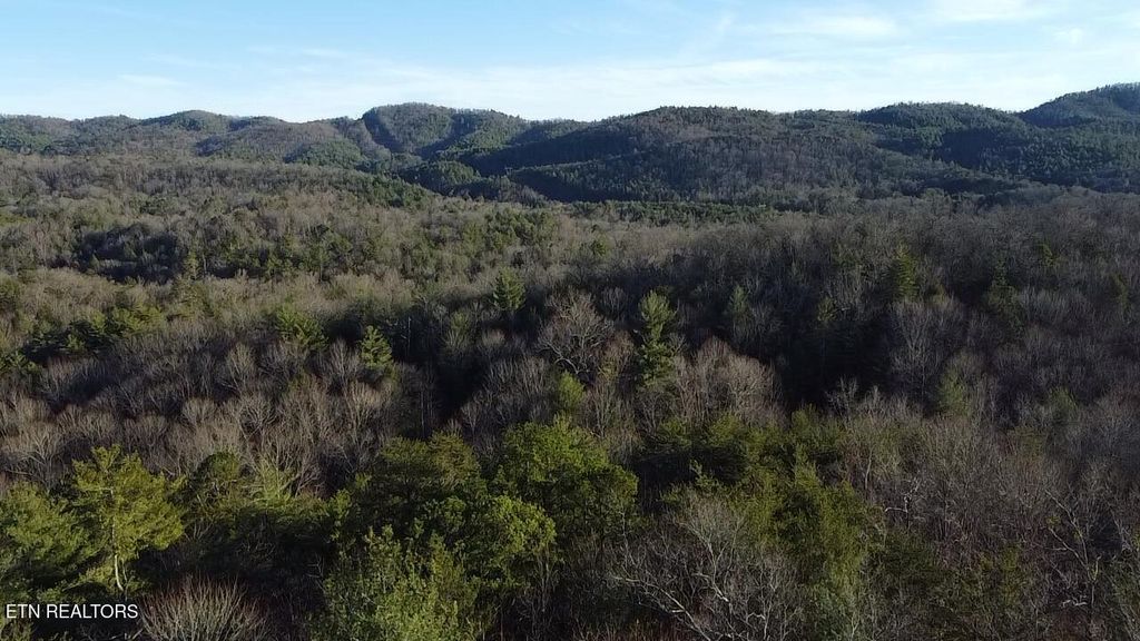 Photo of Cooper Hollow Rd, Tellico Plains, TN 37385 (MLS # 1326255)