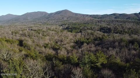 Photo of Cooper Hollow Rd, Tellico Plains, TN 37385 (MLS # 1326255)