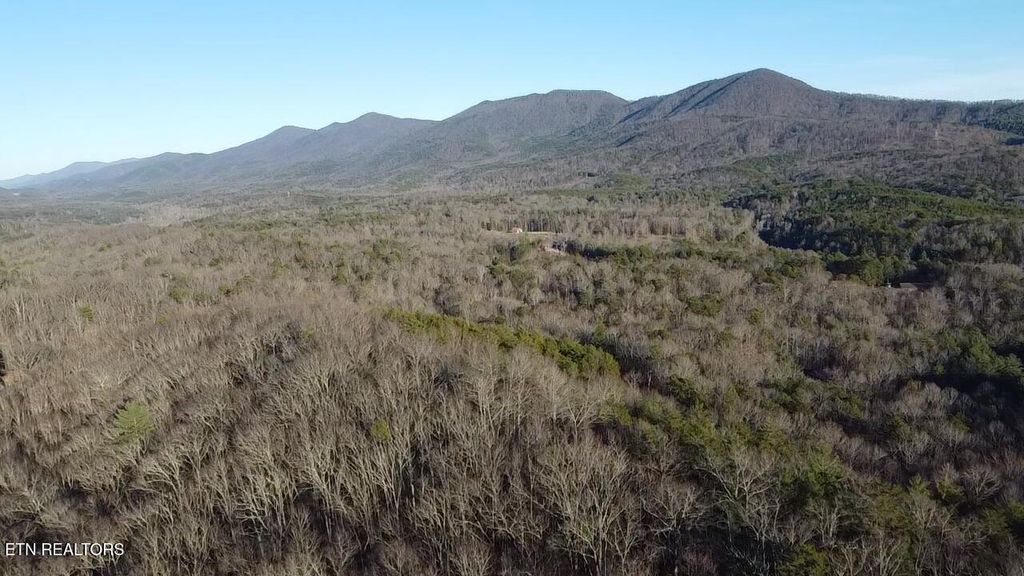 Photo of Cooper Hollow Rd, Tellico Plains, TN 37385 (MLS # 1326255)