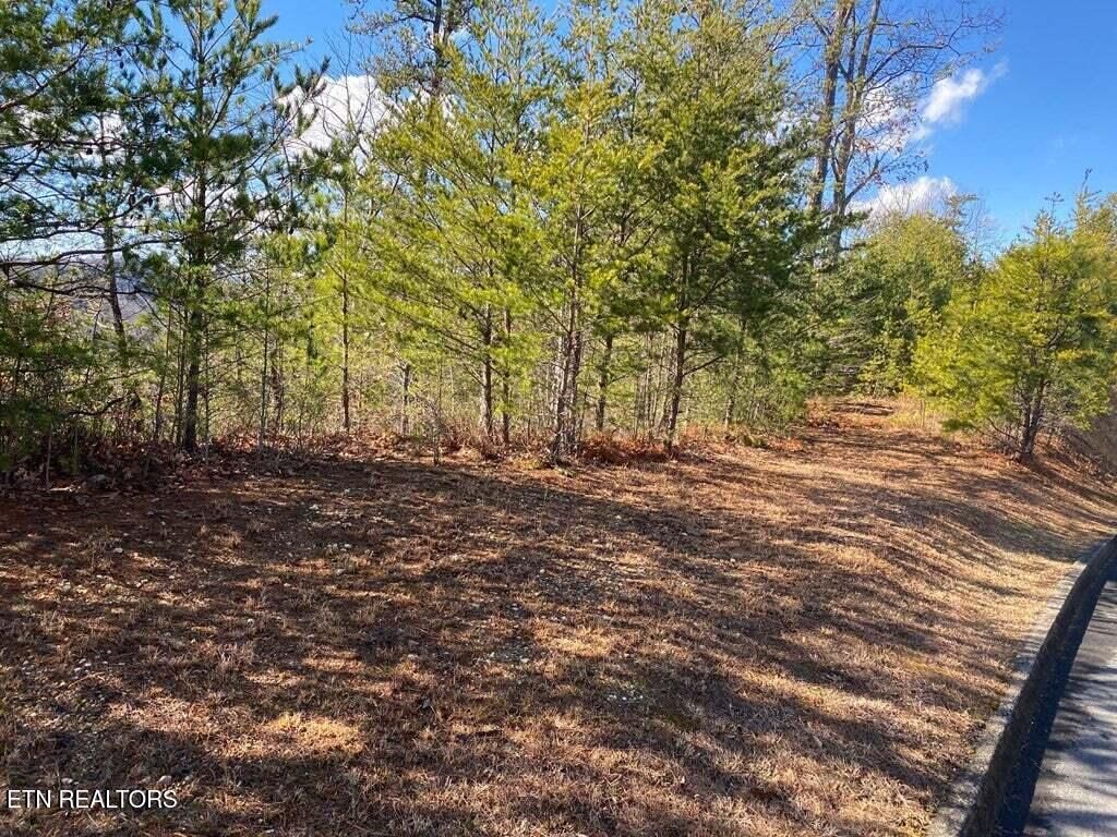 Photo of 1824 Pinestand Ridge Way, Sevierville, TN 37862 (MLS # 1338632)