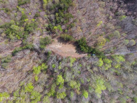 Tiny photo for 350 Bluff View Rd, New Tazewell, TN 37825 (MLS # 1335549)