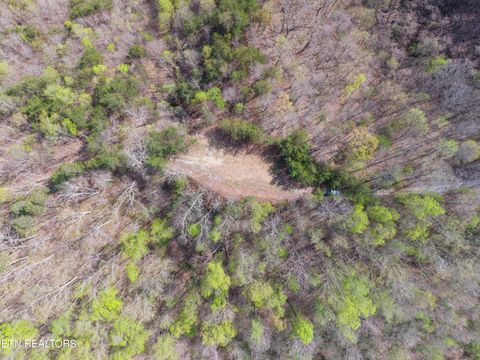 Tiny photo for 350 Bluff View Rd, New Tazewell, TN 37825 (MLS # 1335549)