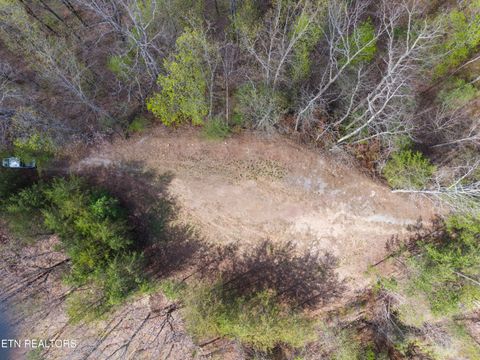 Tiny photo for 350 Bluff View Rd, New Tazewell, TN 37825 (MLS # 1335549)