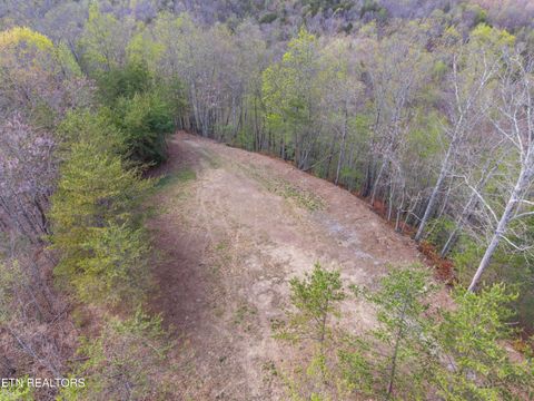 Tiny photo for 350 Bluff View Rd, New Tazewell, TN 37825 (MLS # 1335549)