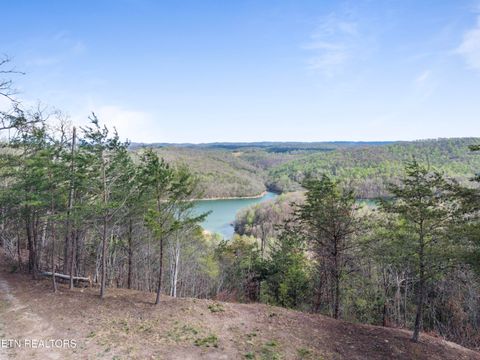 Tiny photo for 350 Bluff View Rd, New Tazewell, TN 37825 (MLS # 1335549)