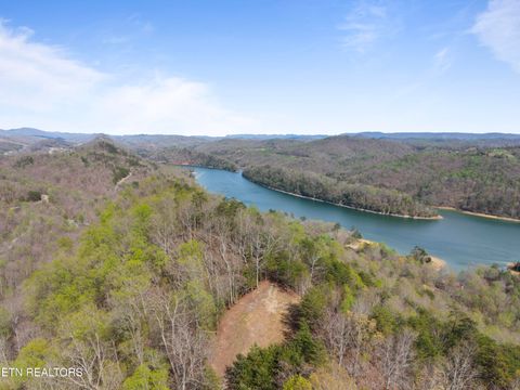 Photo of 350 Bluff View Rd, New Tazewell, TN 37825 (MLS # 1335549)