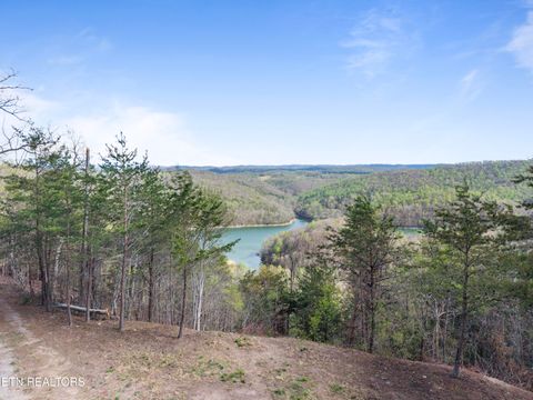 Tiny photo for 350 Bluff View Rd, New Tazewell, TN 37825 (MLS # 1335549)