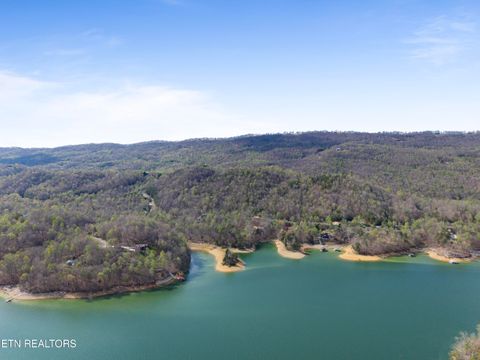 Tiny photo for 350 Bluff View Rd, New Tazewell, TN 37825 (MLS # 1335549)