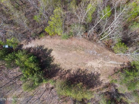 Tiny photo for 350 Bluff View Rd, New Tazewell, TN 37825 (MLS # 1335549)