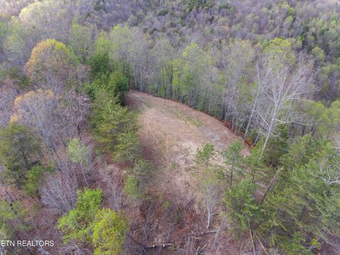 Tiny photo for 350 Bluff View Rd, New Tazewell, TN 37825 (MLS # 1335549)