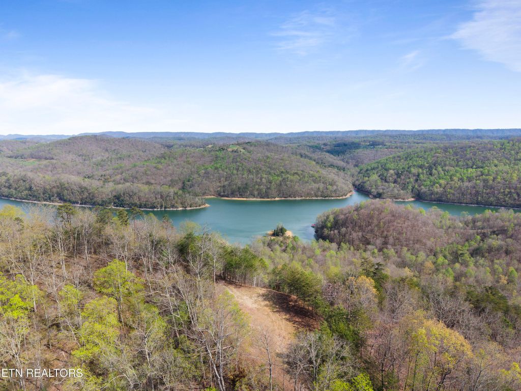 Photo of 350 Bluff View Rd, New Tazewell, TN 37825 (MLS # 1335549)