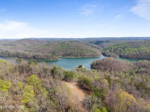 Tiny photo for 350 Bluff View Rd, New Tazewell, TN 37825 (MLS # 1335549)