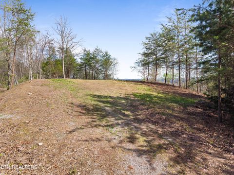 Tiny photo for 350 Bluff View Rd, New Tazewell, TN 37825 (MLS # 1335549)