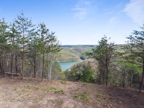 Tiny photo for 350 Bluff View Rd, New Tazewell, TN 37825 (MLS # 1335549)