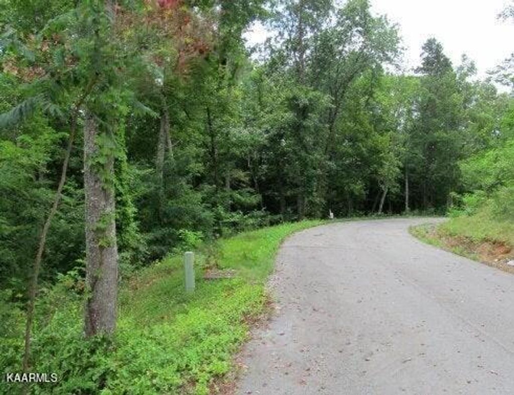 Photo of 407 Mystic Star Drive, New Tazewell, TN 37825 (MLS # 1236675)