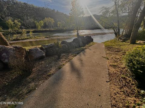 Tiny photo for 146 River Rapids Way, Del Rio, TN 37727 (MLS # 1344739)