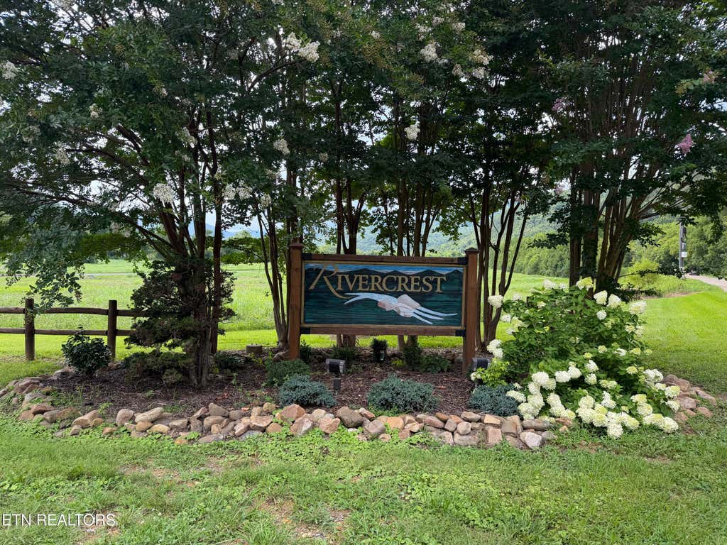 Photo of 146 River Rapids Way, Del Rio, TN 37727 (MLS # 1344739)