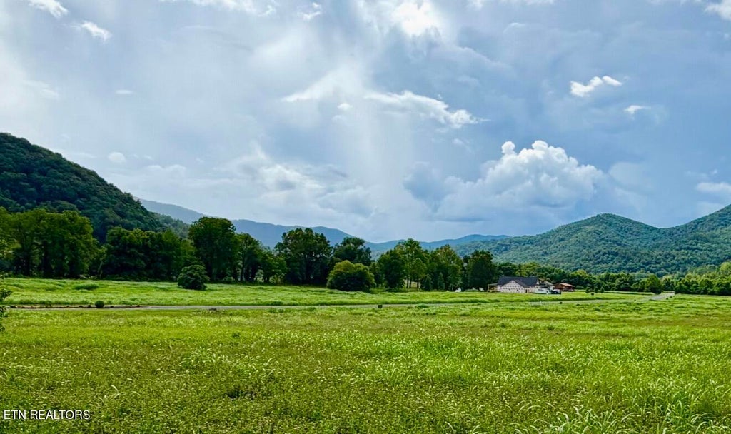 Photo of 146 River Rapids Way, Del Rio, TN 37727 (MLS # 1344739)