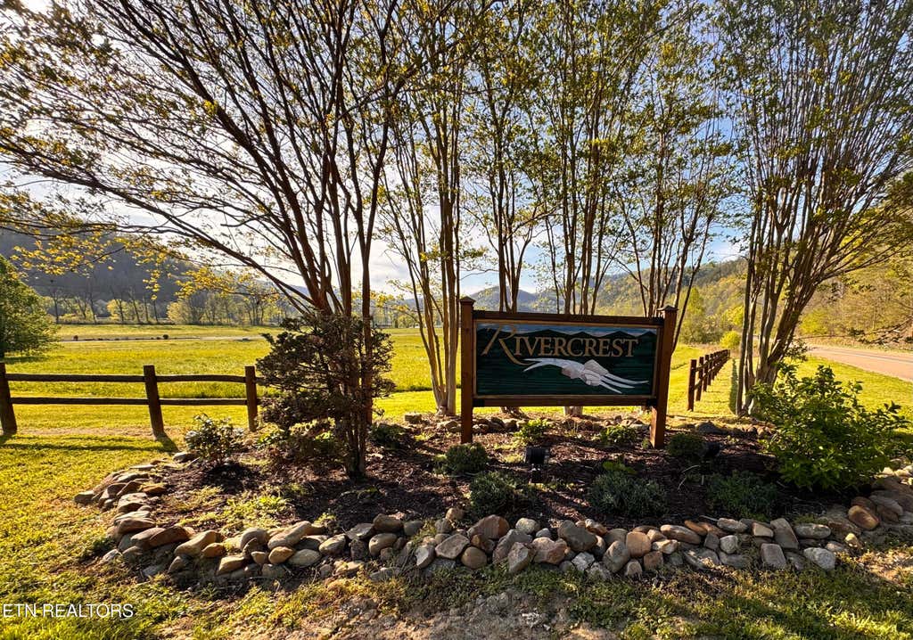 Photo of 146 River Rapids Way, Del Rio, TN 37727 (MLS # 1344739)