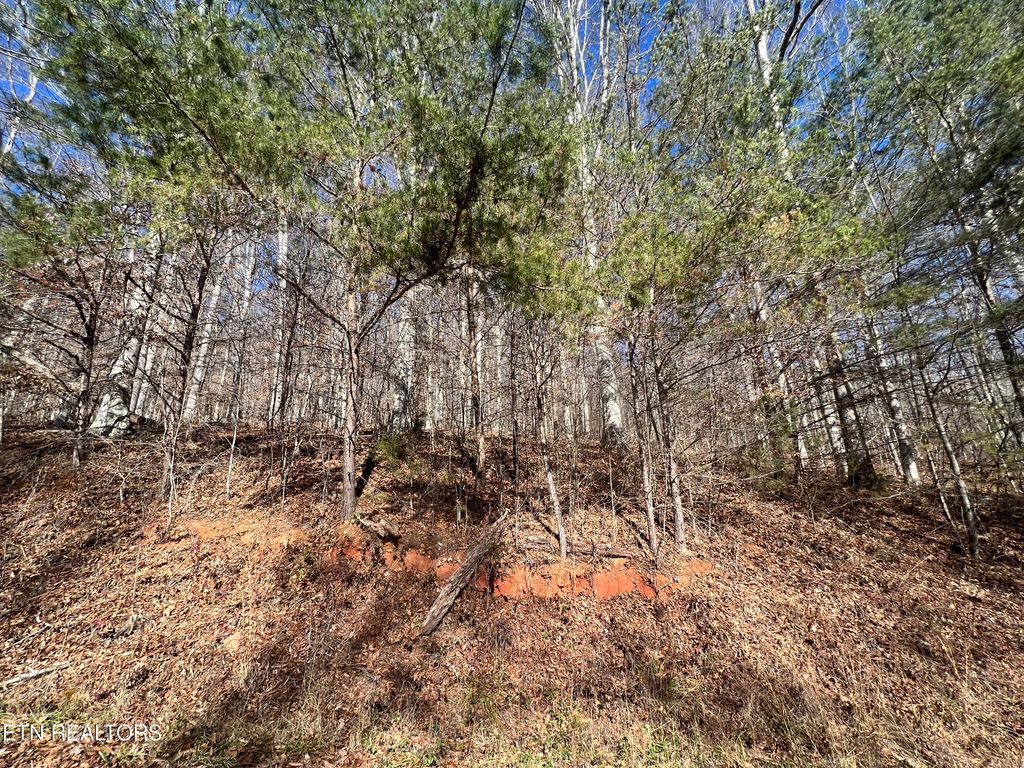 Photo of 9 Jones Ridge Rd, Speedwell, TN 37870 (MLS # 1246392)