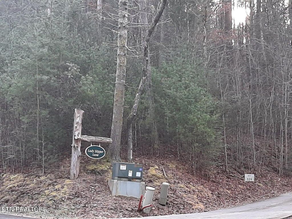 Photo of 509 Lady Slipper Lane, Townsend, TN 37882 (MLS # 1254835)