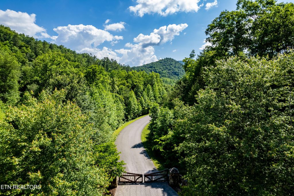 Photo of 509 Lady Slipper Lane, Townsend, TN 37882 (MLS # 1254835)