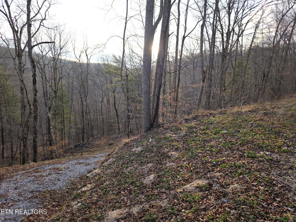 Photo of Old US Highway 27-Mtn View Rd, Robbins, TN 37852 (MLS # 1331225)