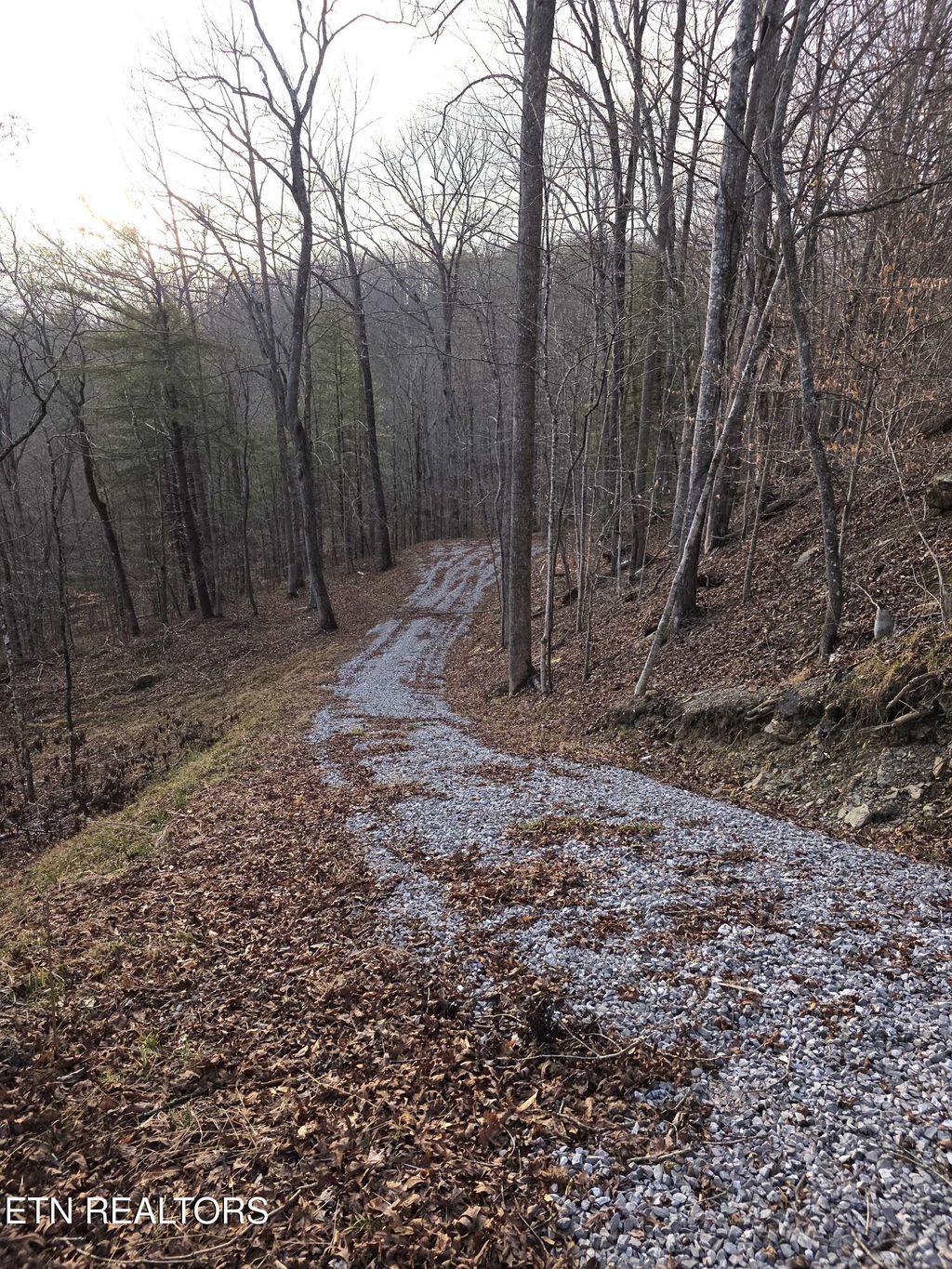 Photo of Old US Highway 27-Mtn View Rd, Robbins, TN 37852 (MLS # 1331225)