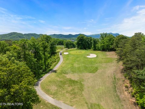 Tiny photo for 841 Golf View Blvd, Pigeon Forge, TN 37863 (MLS # 1339465)