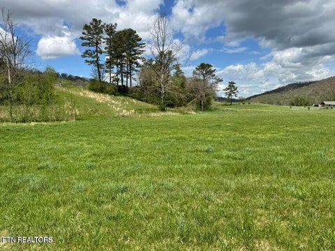 Tiny photo for 112 Shiloh Rd, Crawford, TN 38554 (MLS # 1356126)
