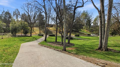 Tiny photo for 1620 Agawela Ave, Knoxville, TN 37919 (MLS # 1331754)