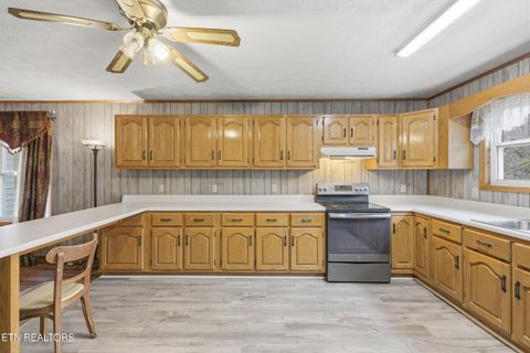 Tiny photo for 3522 Bogard Rd, Cosby, TN 37722 (MLS # 1323596)