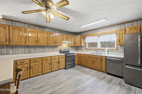 Tiny photo for 3522 Bogard Rd, Cosby, TN 37722 (MLS # 1323596)