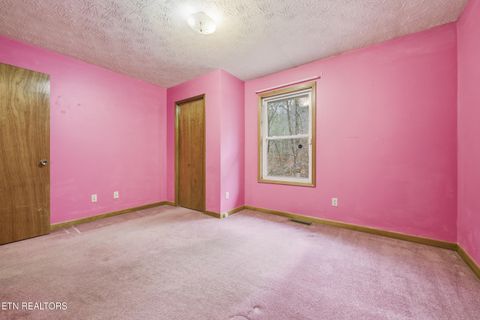 Tiny photo for 3522 Bogard Rd, Cosby, TN 37722 (MLS # 1323596)